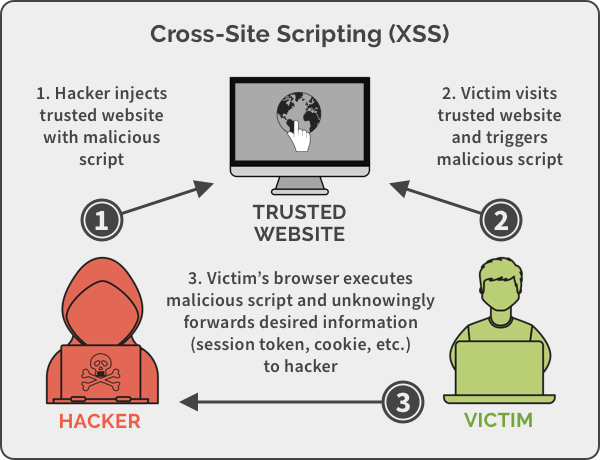 Cross Site Scripting XSS